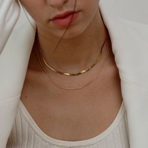 Double flat snake chain necklace
